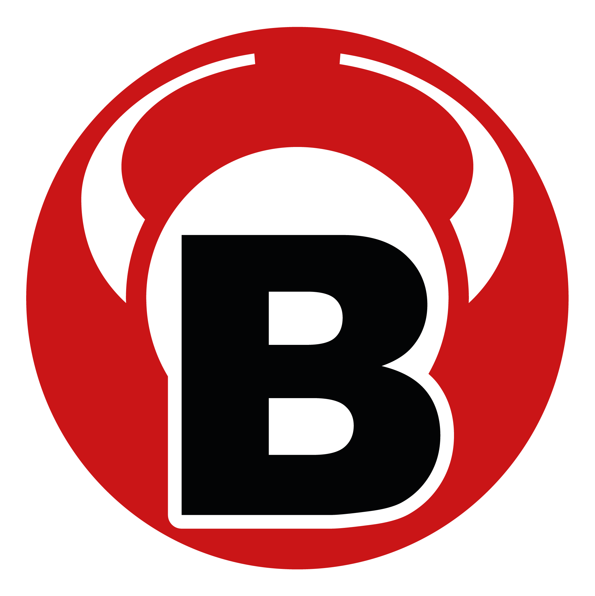 BULL'S